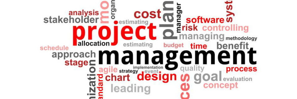 Project Management